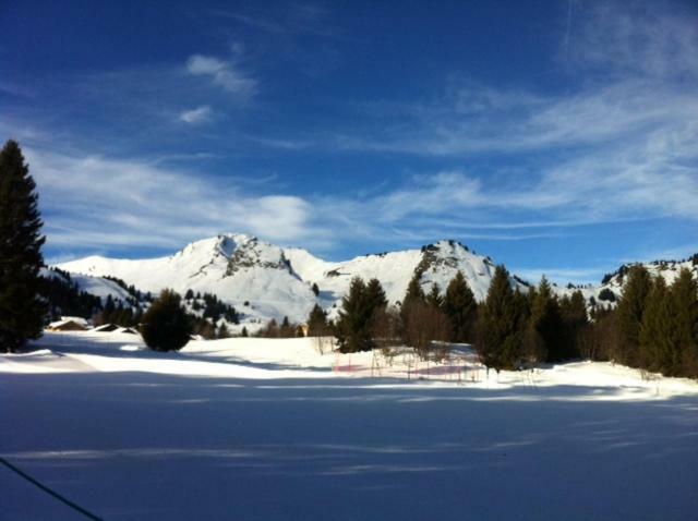 Apartamento Terrasses Du Mont Blanc Le Praz de Lys Exterior foto