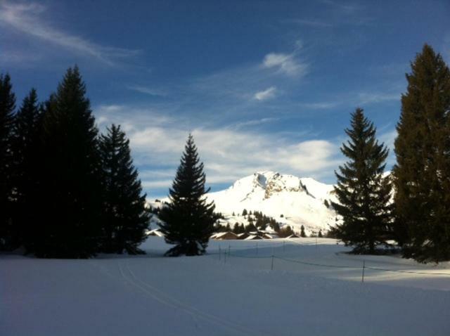 Apartamento Terrasses Du Mont Blanc Le Praz de Lys Exterior foto